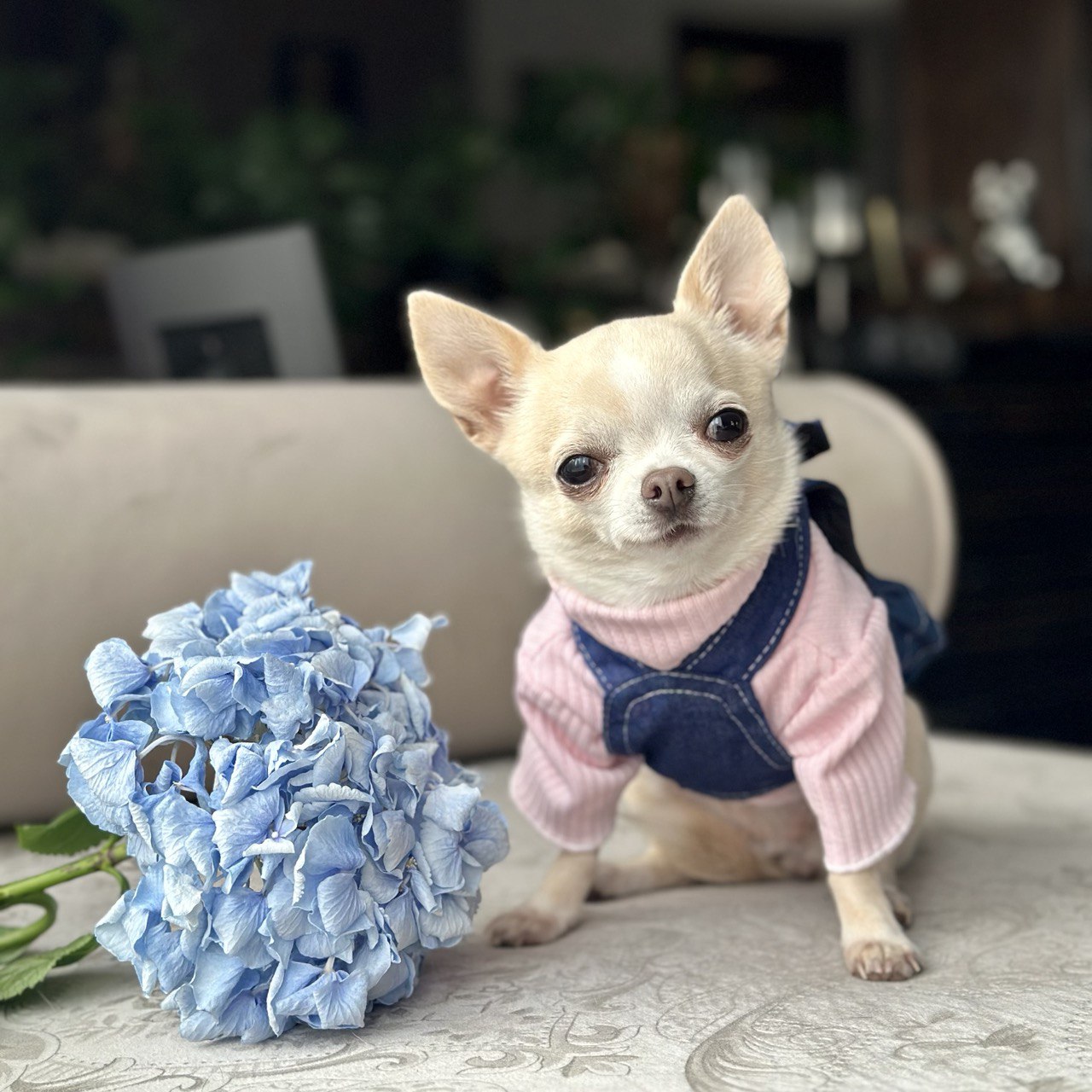 Denim Dress with Top