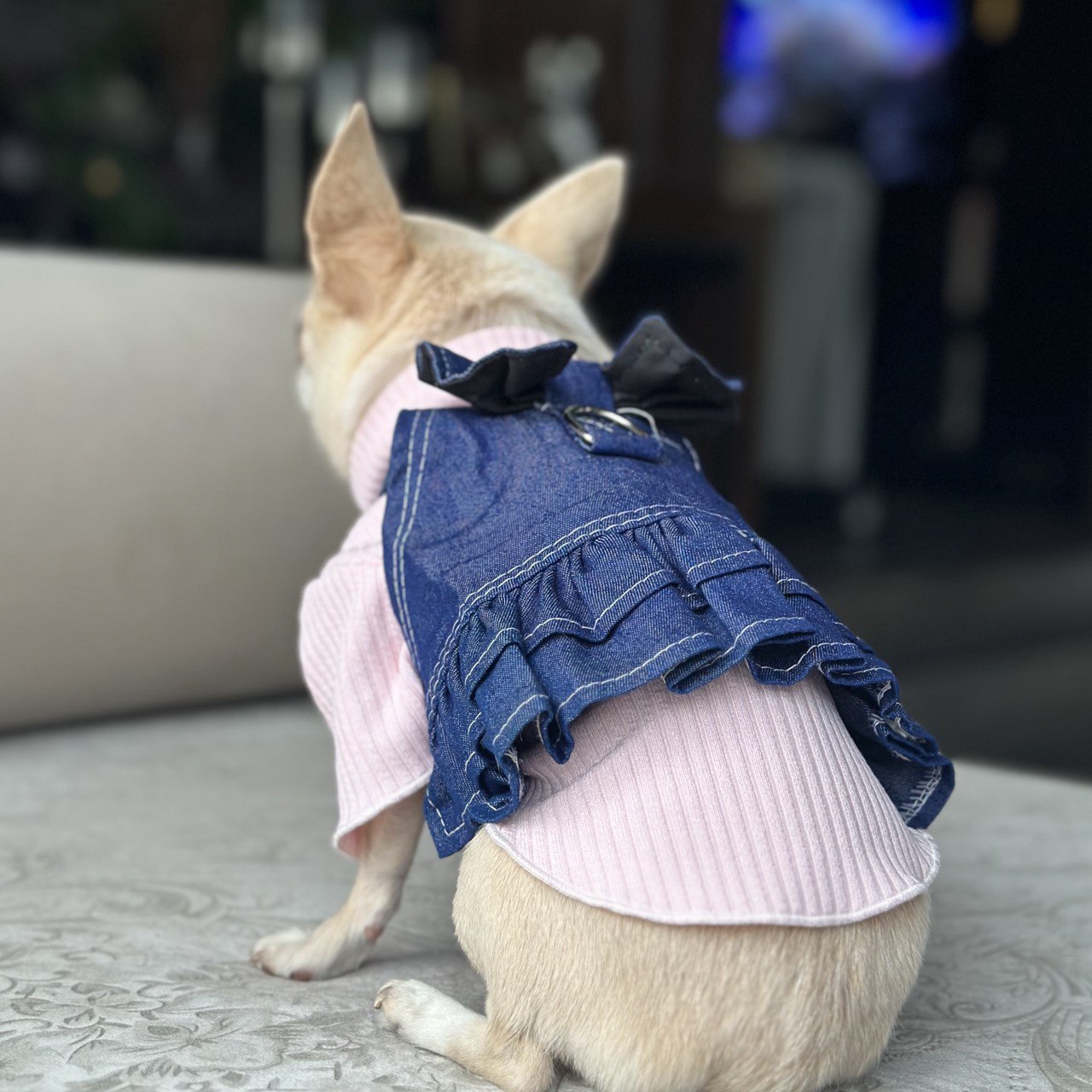 Denim Dress with Top