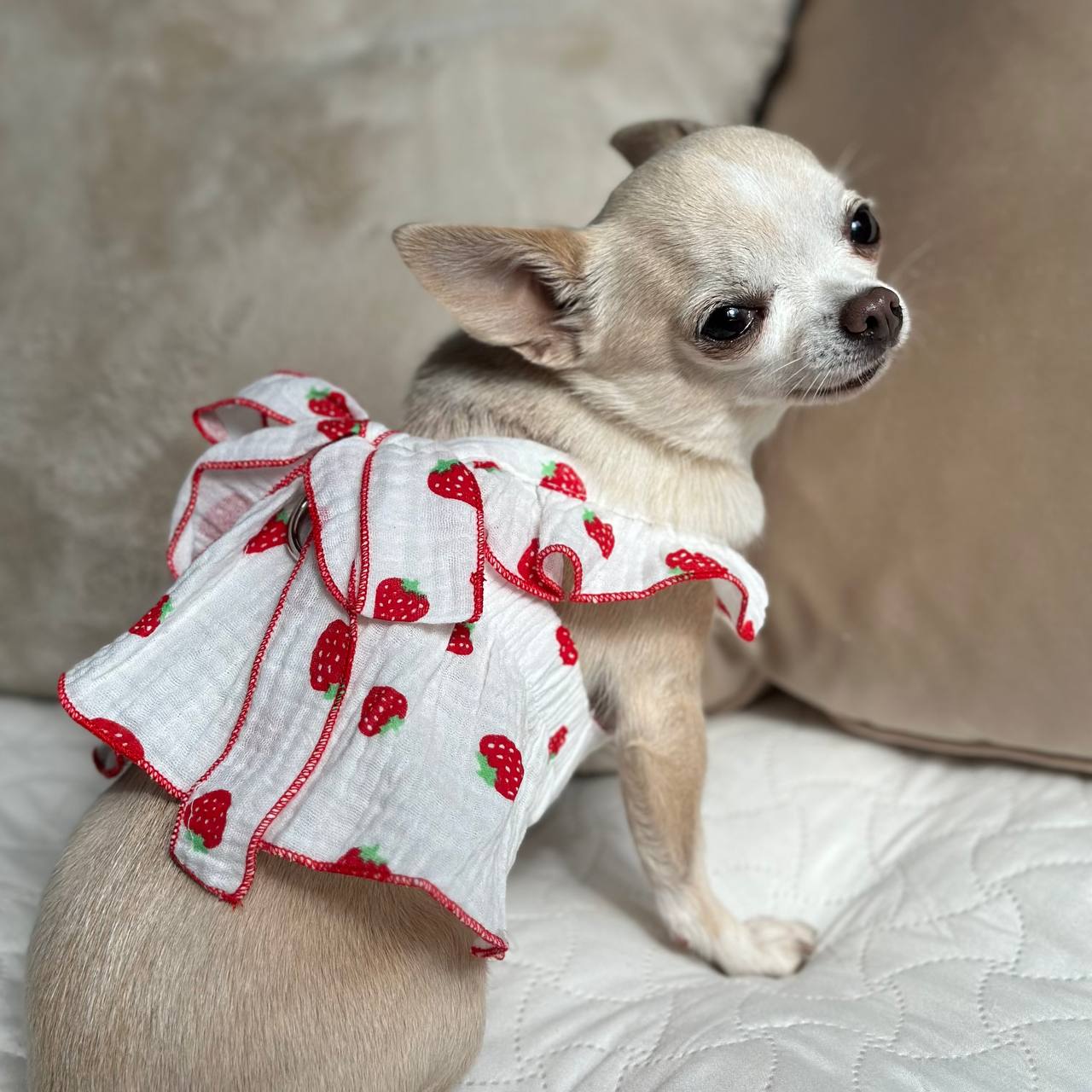 Garden Strawdress