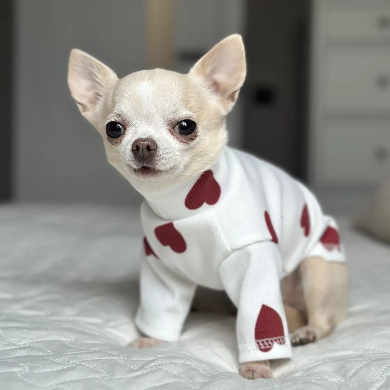 Hearts Turtleneck White