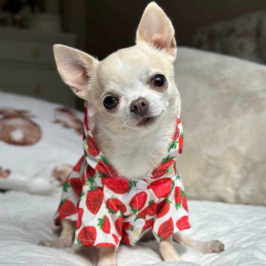 Strawberry Raincoat